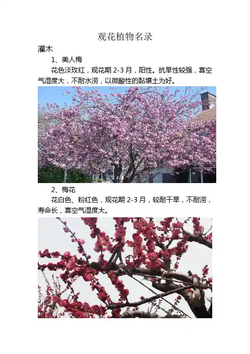 常用观花植物名录及性状