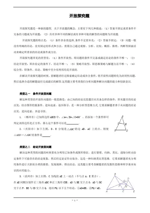 开放探究题(含答案)