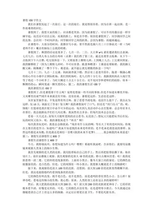 暑假感想作文450字