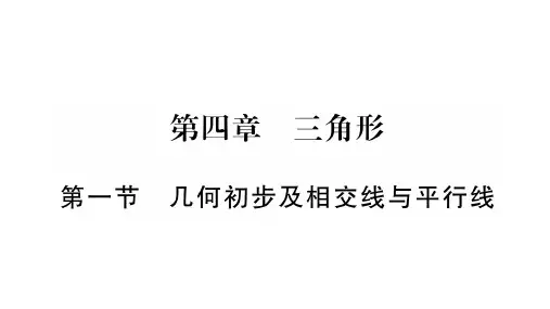 2020年中考数学总复习 一轮考点系统复习精讲精练课件:第1节 几何初步及相交线与平行线