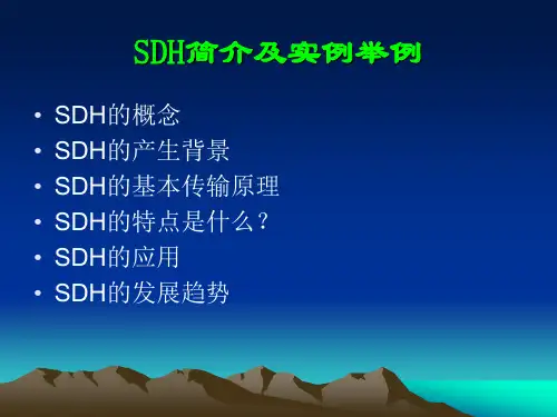 SDH简介及实例举例
