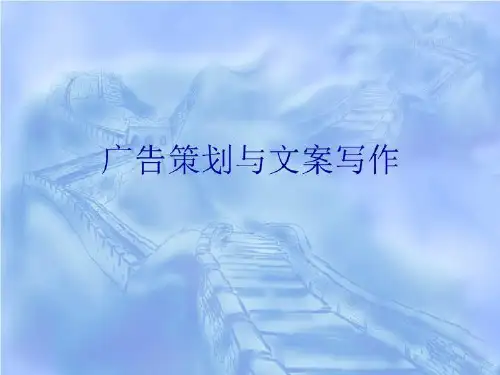广告策划和文案写作