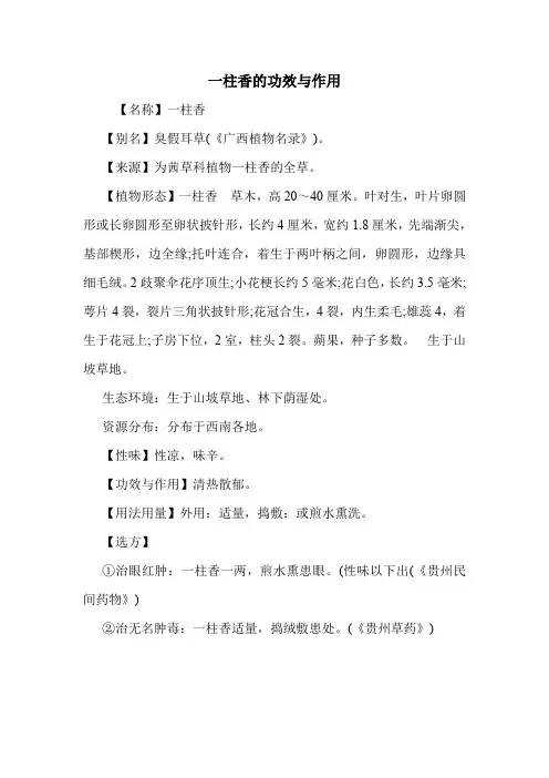 一柱香的功效与作用