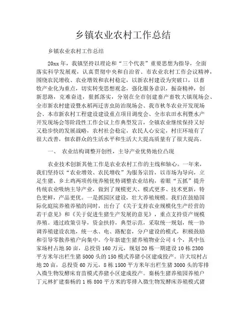 乡镇农业农村工作总结