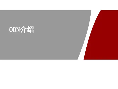 4.ODN介绍