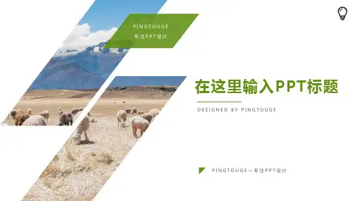 实用高端水彩简约阴影动态年终汇报ppt模板