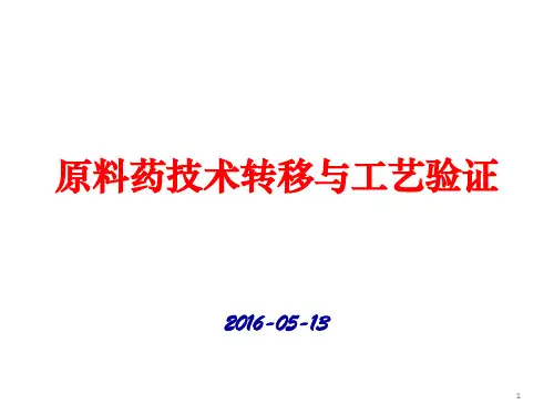 原料药技术转移与工艺验证精品PPT课件