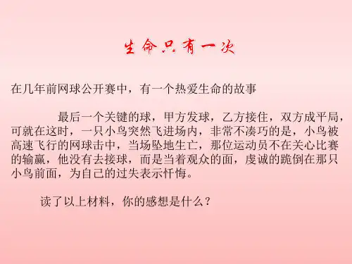 生命只有一次课件