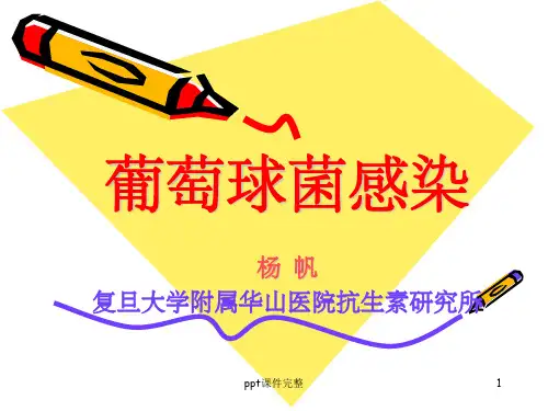 葡萄球菌感染PPT课件