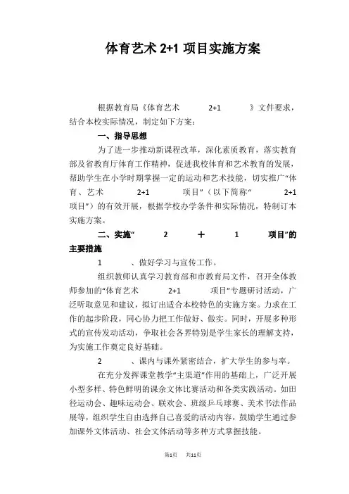 体育艺术2+1项目实施方案