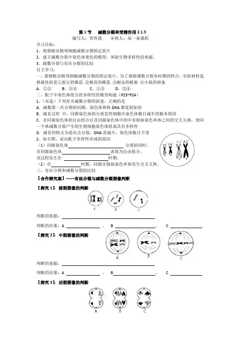 第1节   减数分裂和受精作用2.1.3