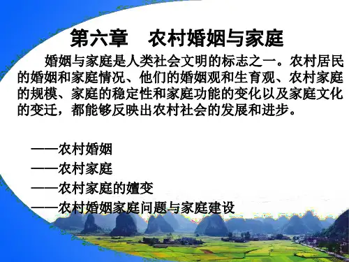 农村婚姻与家庭