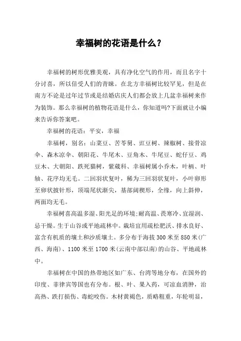 幸福树的花语是什么？