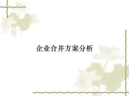 企业合并方案分析