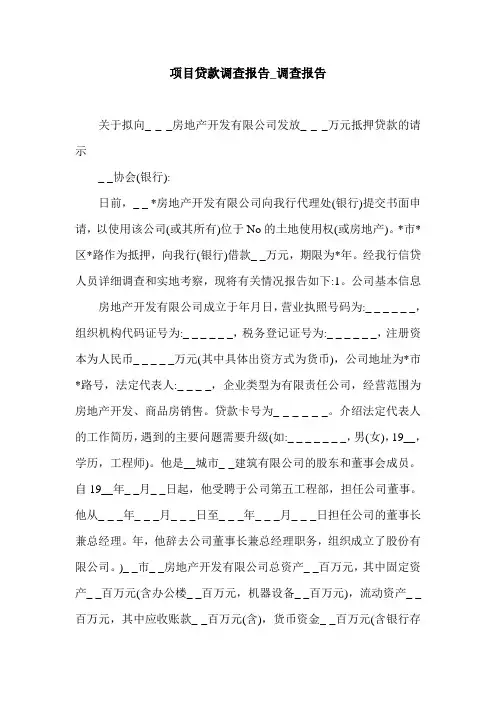 项目贷款调查报告_调查报告.doc