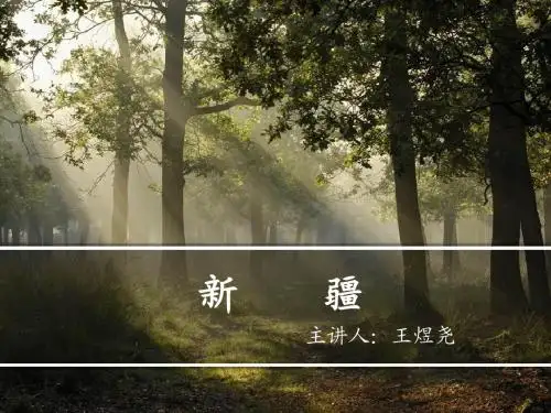新 疆