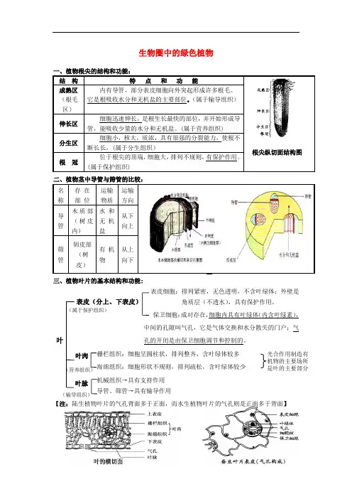 中考生物专题复习 生物圈中的绿色植物知识点 新人教版