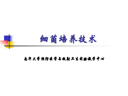 细菌培养技术