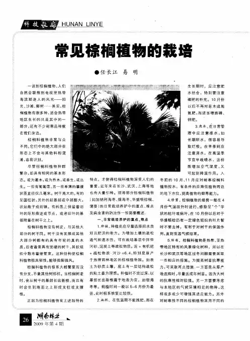 常见棕榈植物的栽培