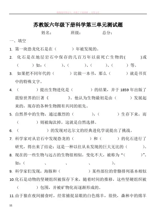 苏教版科学六年级下册第三单元测试题