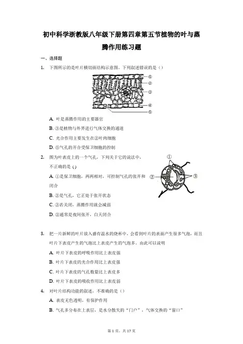 初中科学浙教版八年级下册第四章第五节植物的叶与蒸腾作用练习题-普通用卷