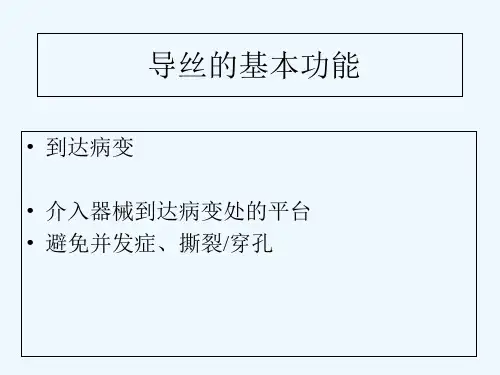 导丝中文介绍 PPT