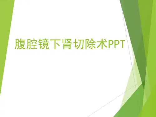 腹腔镜下肾切除术PPT课件