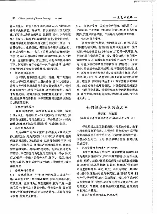 如何提高仔兔的成活率