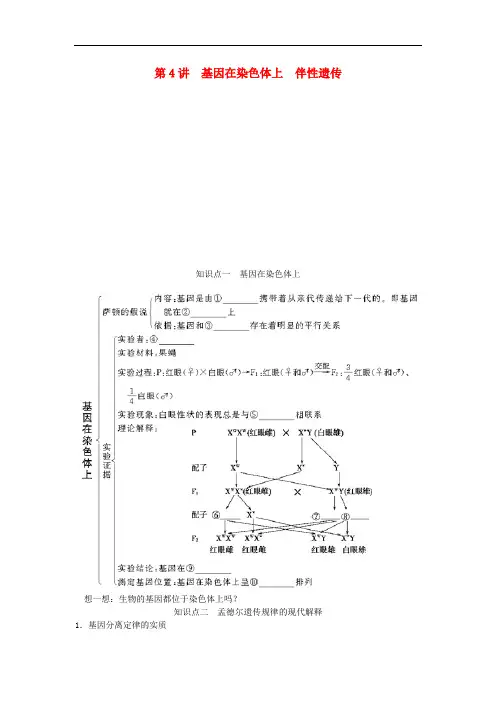 高考生物一轮复习资料 第一单元 第4讲基因在染色体上伴性遗传 新人教版必修2