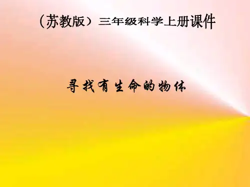 《寻找有生命的物体》ppt课件(2篇)