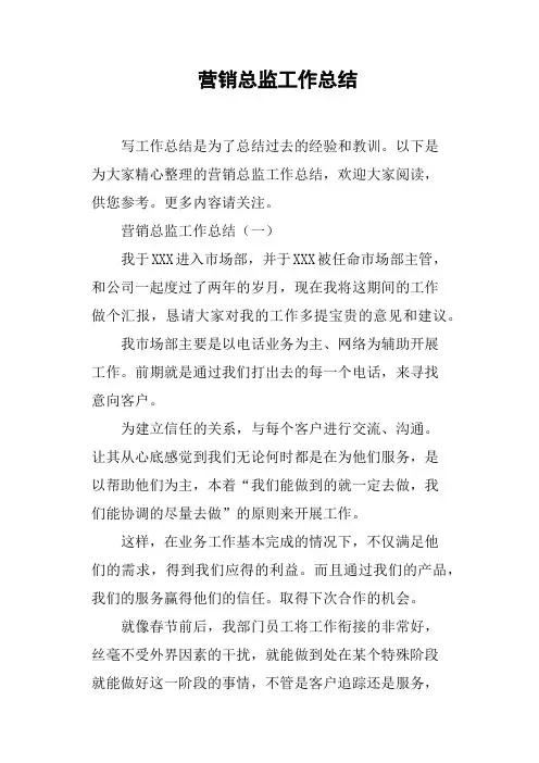 营销总监工作总结 2