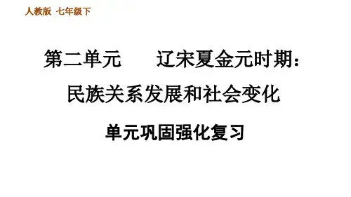 人教部编历史七年级下册第二单元辽宋夏金元时期:民族关系发展和社会变化巩固强化复习