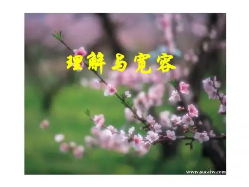 3.1理解与宽容