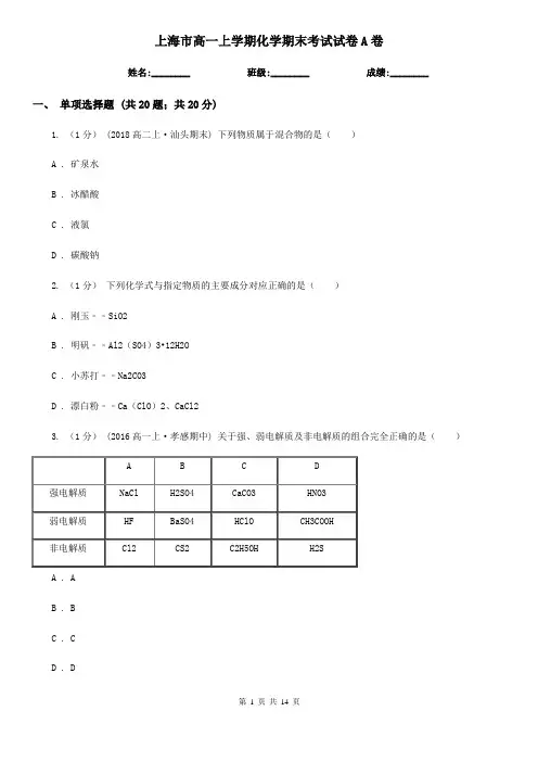 上海市高一上学期化学期末考试试卷A卷