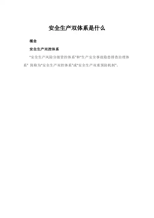 安全生产双体系是什么