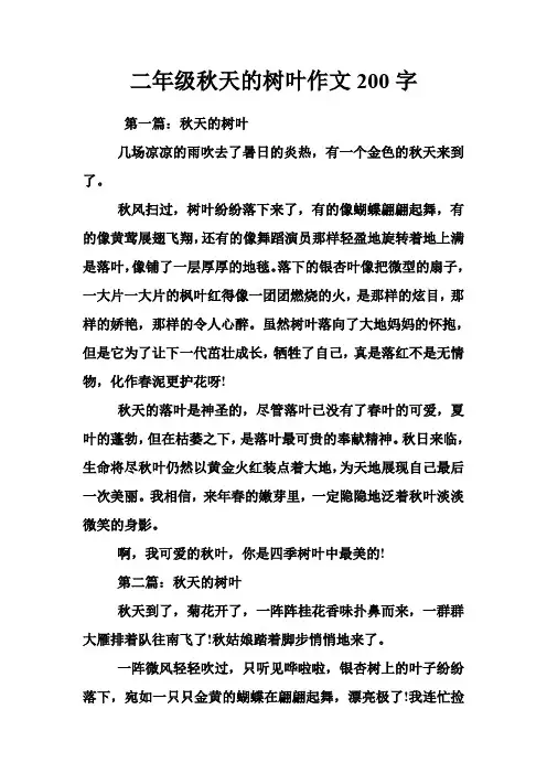 二年级秋天的树叶作文200字 2