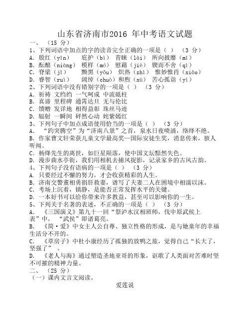 山东省济南市2016年中考语文试题(word版,含答案解析)