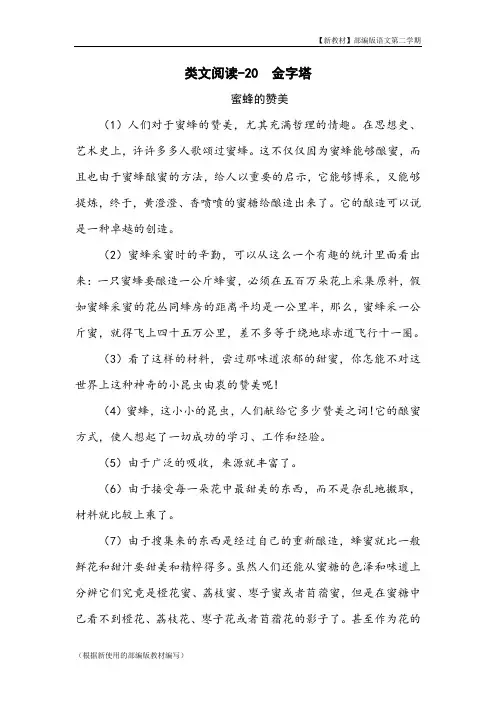 五年级语文下册《 金字塔》阅读理解练习题含答案