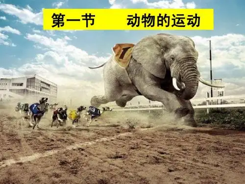 八年级生物上册 第五单元 第二章 动物的运动和行为 第一节 动物的运动课件2 (新版)新人教版