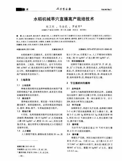 水稻机械旱穴直播高产栽培技术