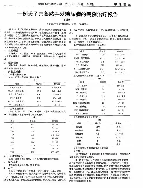 一例犬子宫蓄脓并发糖尿病的病例治疗报告