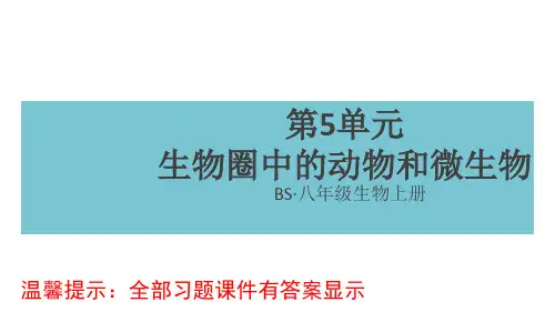 北师大版八年级生物上册第17章生物圈中的动物PPT习题课件