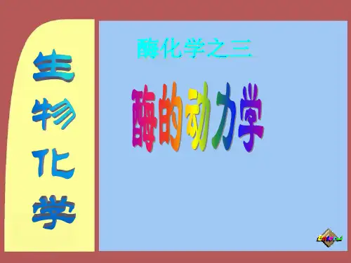 酶促反应动力学