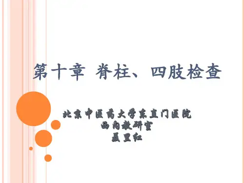 脊柱、四肢检查
