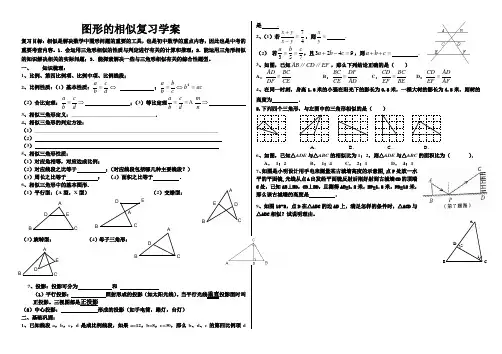 图形的相似复习学案
