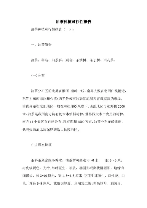 2021年油茶种植可行性报告