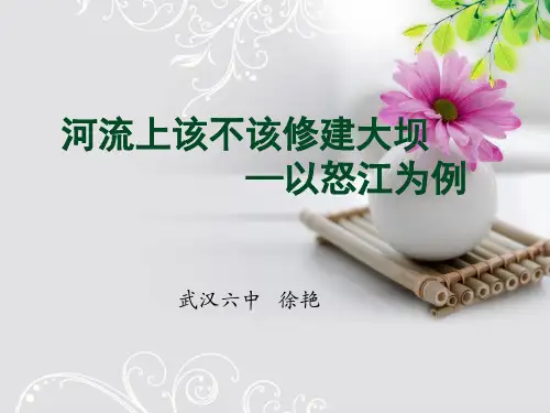 河流上该不该建大坝