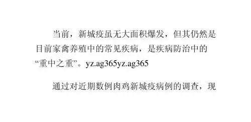 当前肉鸡新城疫疾病频发的诊治思考