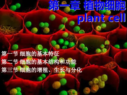 《植物学》课件：第一章 植物细胞