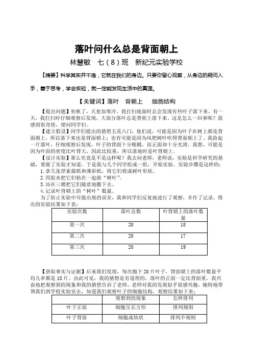 落叶问什么总是背面朝上